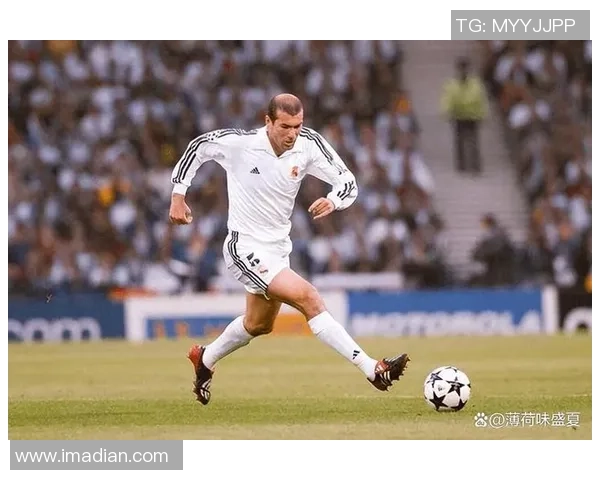 兔年闪耀绿茵场 足球明星展现非凡实力与无限魅力